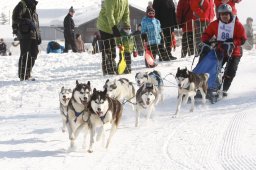 Lenk 2012 SM